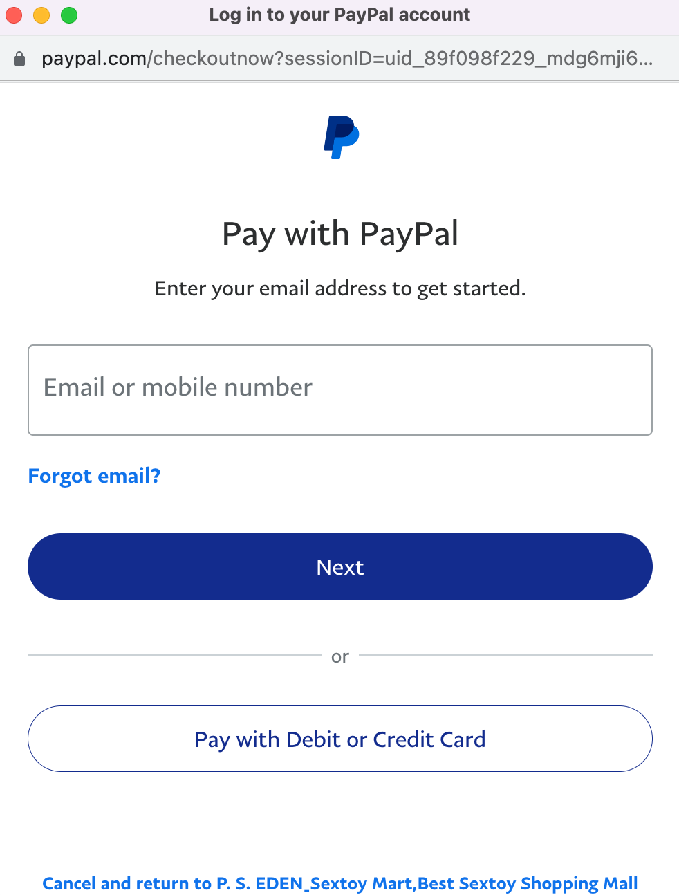 Payment Methods 2 PSEDEN-Payment-Methods-2