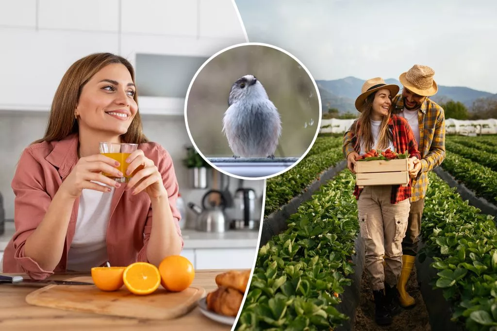 Gen Z couples test their love via TikTok relationship