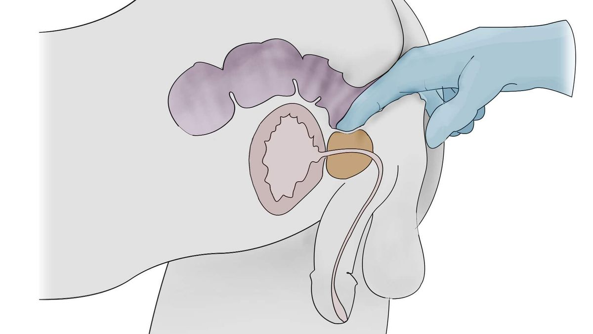 Expert Tips for Unforgettable Moments 1721945311 231 Expert Tips for Unforgettable Moments