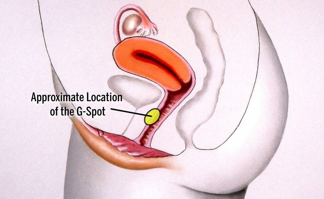 9 Tips on How to Seduce a Girl with Your Fingers - Learn More 2 9 Tips on How to Seduce a Girl with Your Fingers - Learn More 1722106057 371 9 Tips on How to Seduce a Girl with Your