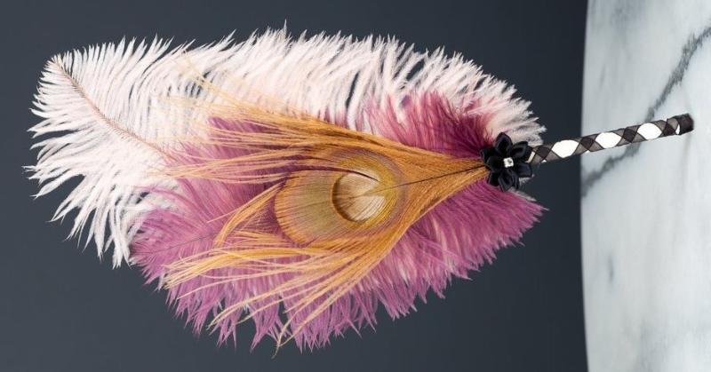 Quick 10 Ways to Get Rid of Chicken Feathers - Simple Spicy Solutions 4 Quick 10 Ways to Get Rid of Chicken Feathers - Simple Spicy Solutions 1722129140 932 Quick 10 Ways to Get Rid of Chicken Feathers