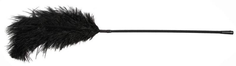 Quick 10 Ways to Get Rid of Chicken Feathers - Simple Spicy Solutions 2 Quick 10 Ways to Get Rid of Chicken Feathers - Simple Spicy Solutions 1722129140 990 Quick 10 Ways to Get Rid of Chicken Feathers