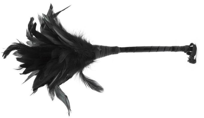 Quick 10 Ways to Get Rid of Chicken Feathers - Simple Spicy Solutions 7 Quick 10 Ways to Get Rid of Chicken Feathers - Simple Spicy Solutions 1722129141 37 Quick 10 Ways to Get Rid of Chicken Feathers