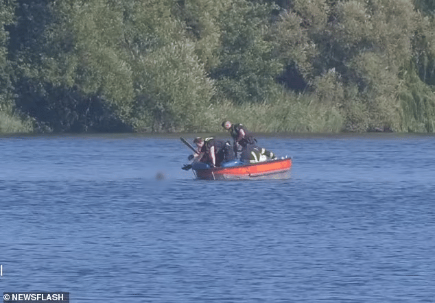 Man exposes himself and beats woman with dead seagull 2 Man exposes himself but is caught by police