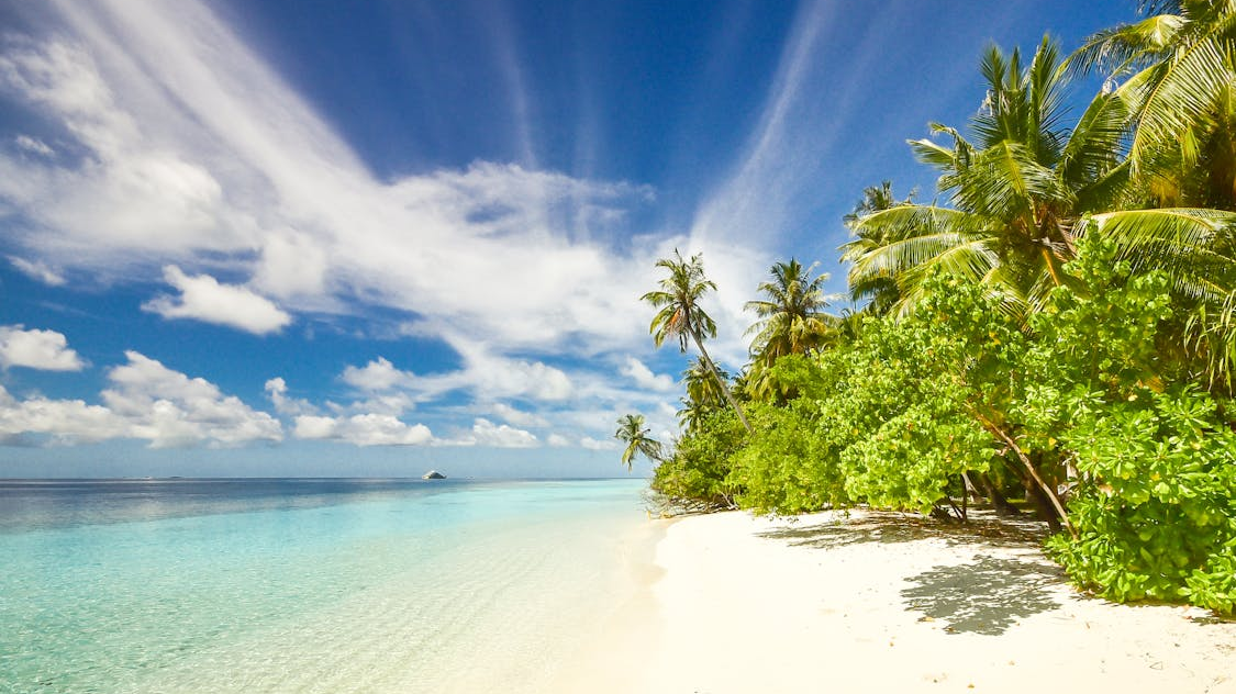 How to Have Public Sex: 50+ Spots and Tips to Safe and Sexy 1722284487 495 How to Have Public Sex 50 Spots and Tips to