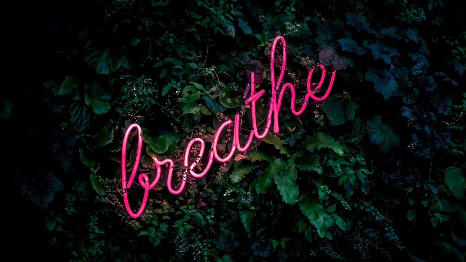 Celebrate Self-Love: Tips for an Intimate Valentine's Day 3 Celebrate Self-Love: Tips for an Intimate Valentine's Day 1722302426 589 Celebrate Self Love Tips for an Intimate Valentines Day