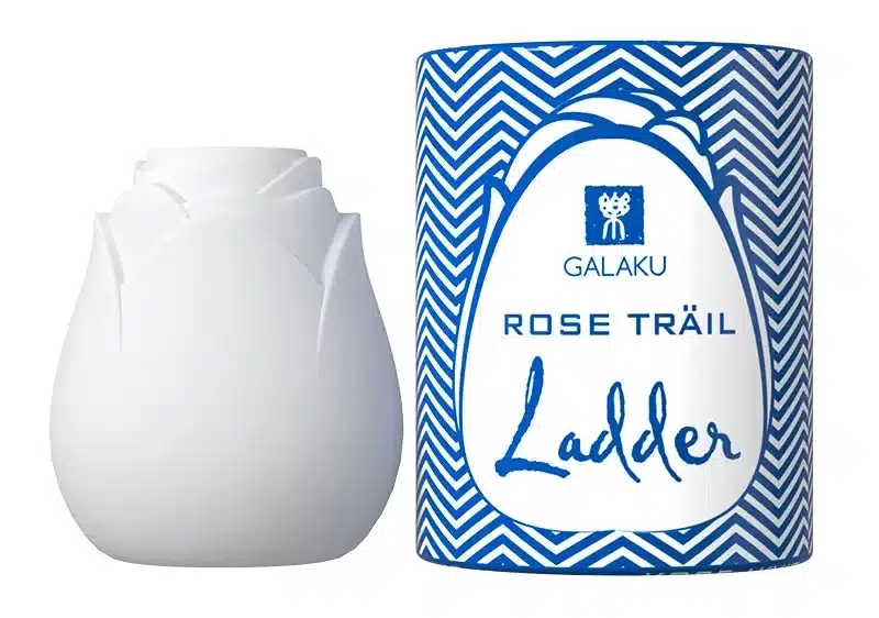 10 Rose Sex Toy Reviews - An Alternative to Viral Reviews 4 10 Rose Sex Toy Reviews - An Alternative to Viral Reviews 1722305609 844 10 Rose Sex Toy Reviews An Alternative to Viral.webp