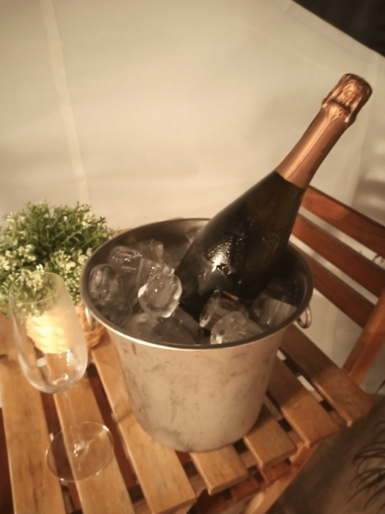 Nomadic camp, hot springs, free champagne