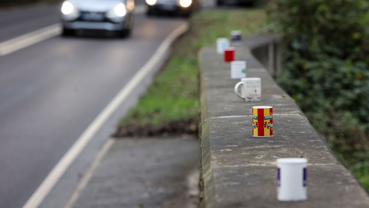 At the start of the new year, a 'Adult Toy' guardrail appeared next to a British road 2 At the start of the new year, a 'Adult Toy' guardrail appeared next to a British road
