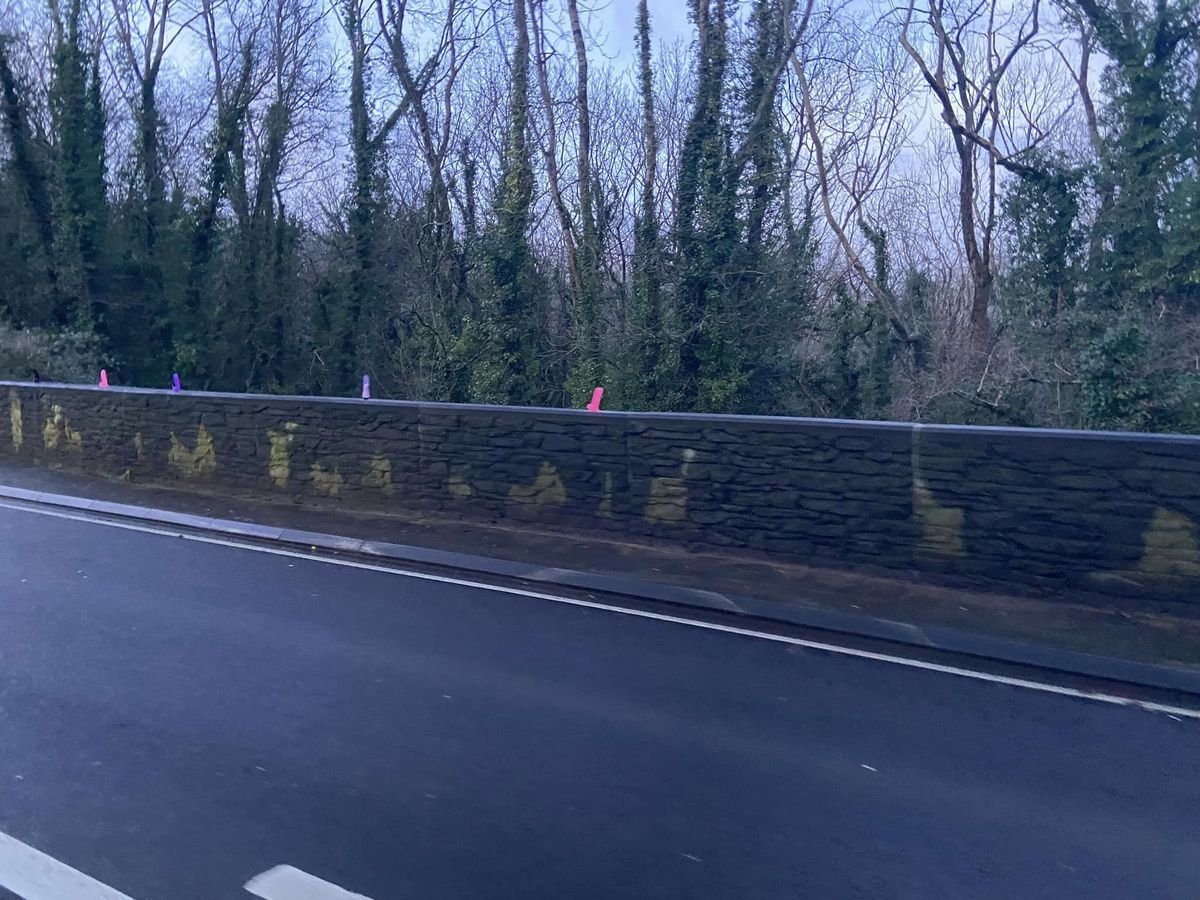 At the start of the new year, a 'Adult Toy' guardrail appeared next to a British road 3 At the start of the new year, a 'Adult Toy' guardrail appeared next to a British road