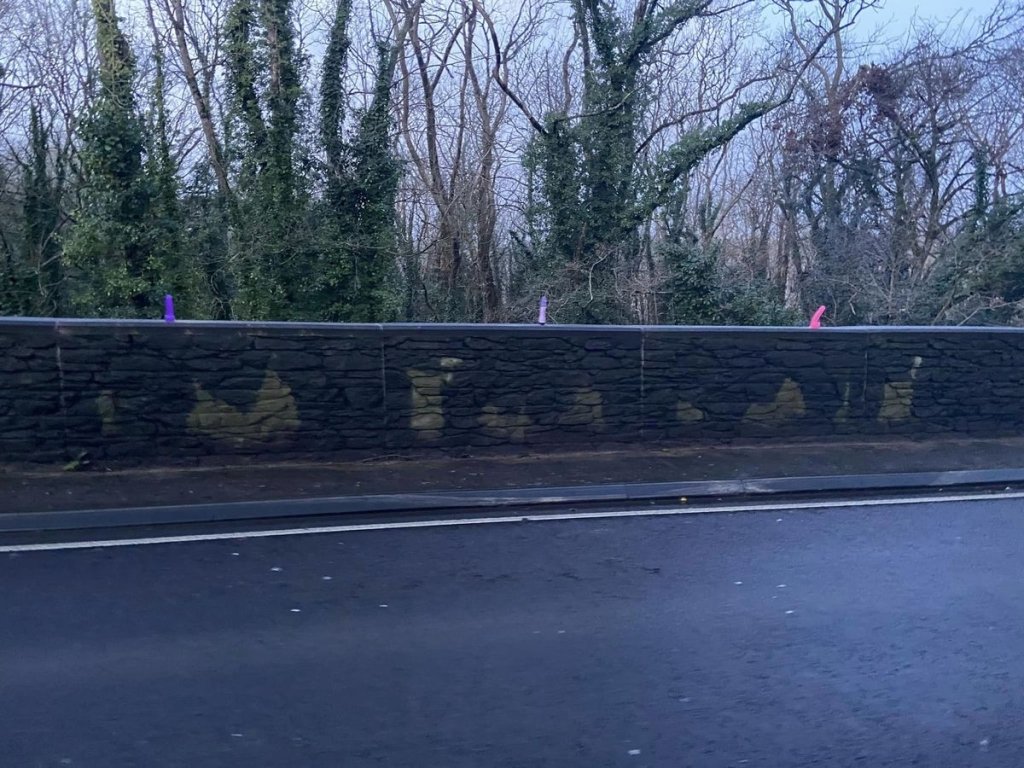 At the start of the new year, a 'sex toy' guardrail appeared next to a British road