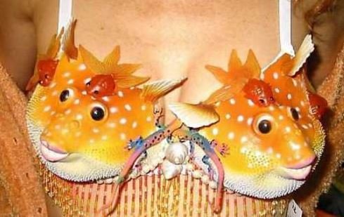 Crazy bras – from lobster claws to yellow ducks