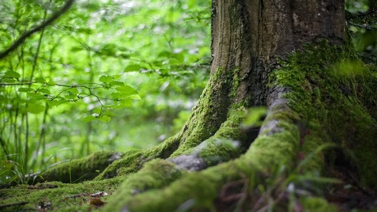 How to Have Public Sex: 50+ Spots and Tips to Safe and Sexy How to Have Public Sex 50 Spots and Tips to