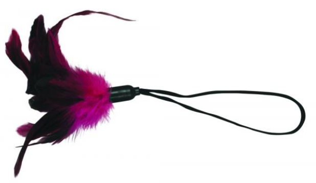 Quick 10 Ways to Get Rid of Chicken Feathers - Simple Spicy Solutions 6 Quick 10 Ways to Get Rid of Chicken Feathers - Simple Spicy Solutions Quick 10 Ways to Get Rid of Chicken Feathers