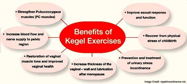 Benefits of Kegel Exercises FAQs Pictures