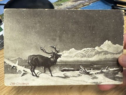 Postcard arrives 121 years after it was mailed - History