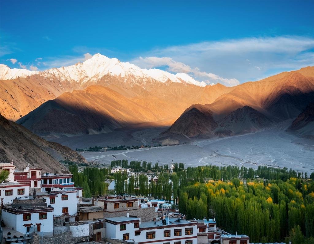 Uncover hidden treasures and embrace