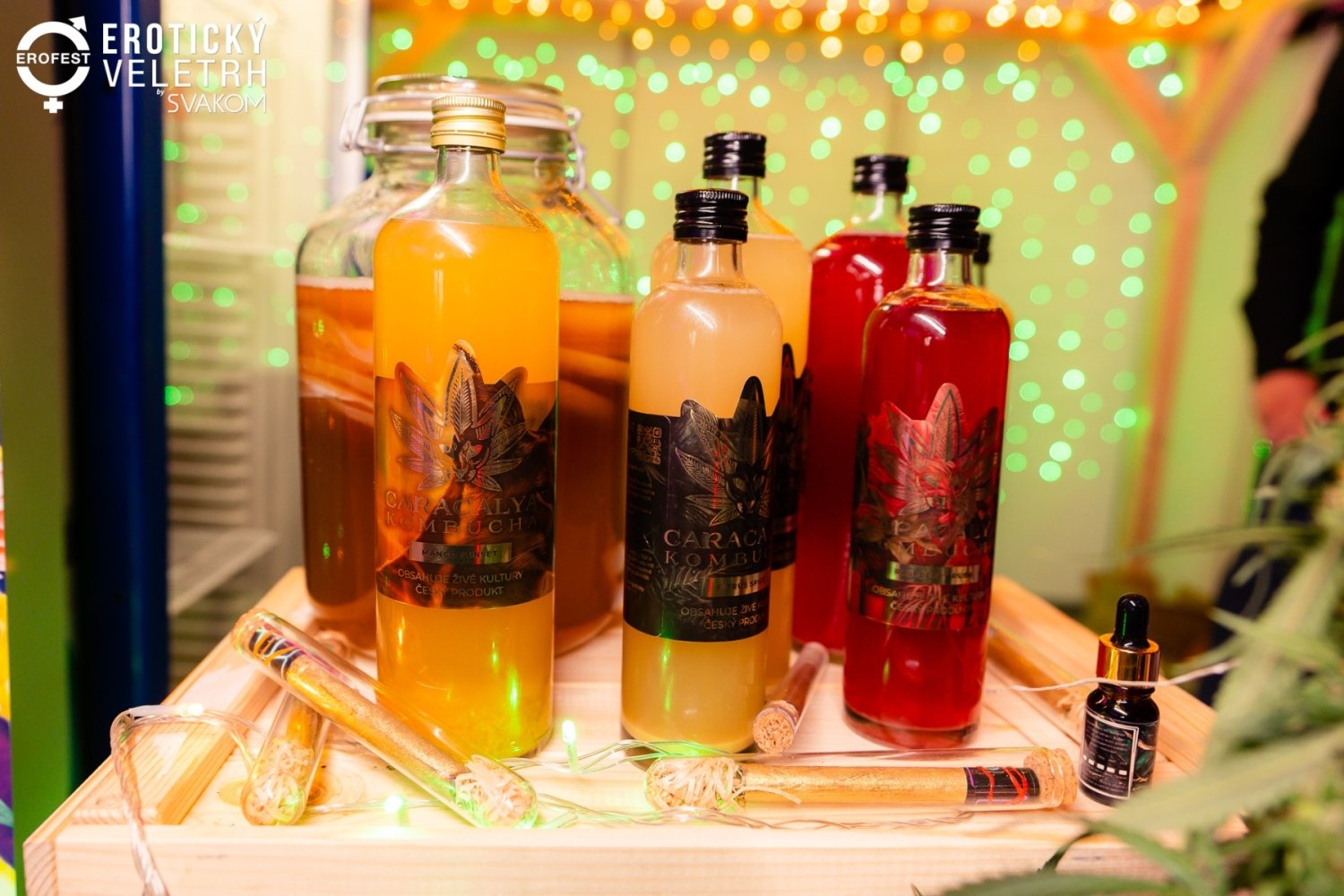 Czech Adult Expo 2024 has successfully concluded 31 Czech Adult Expo 2024 has successfully concluded