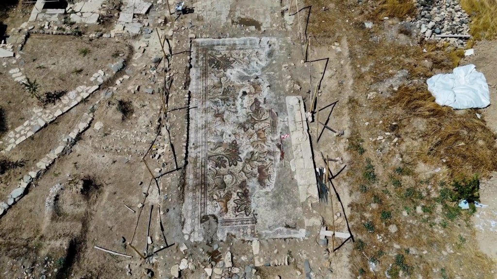 Huge Roman mosaic discovered while planting cherry saplings –