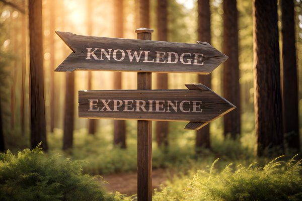 Route sign with arrow representing knowledge and experience