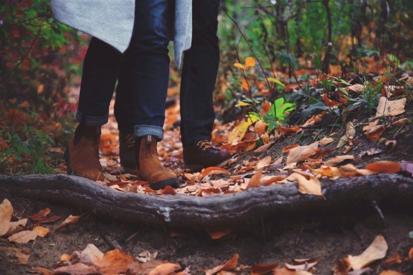 A couple is walking in the woods in autumn.