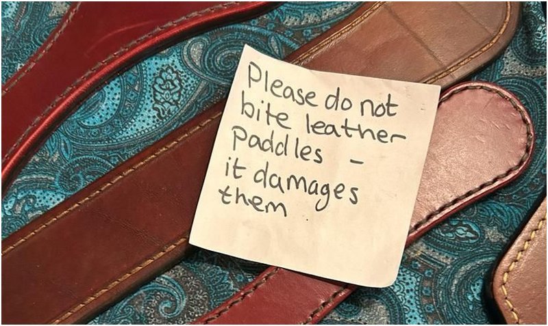 Leather spanking implements with a note on them reminding people not to bite them