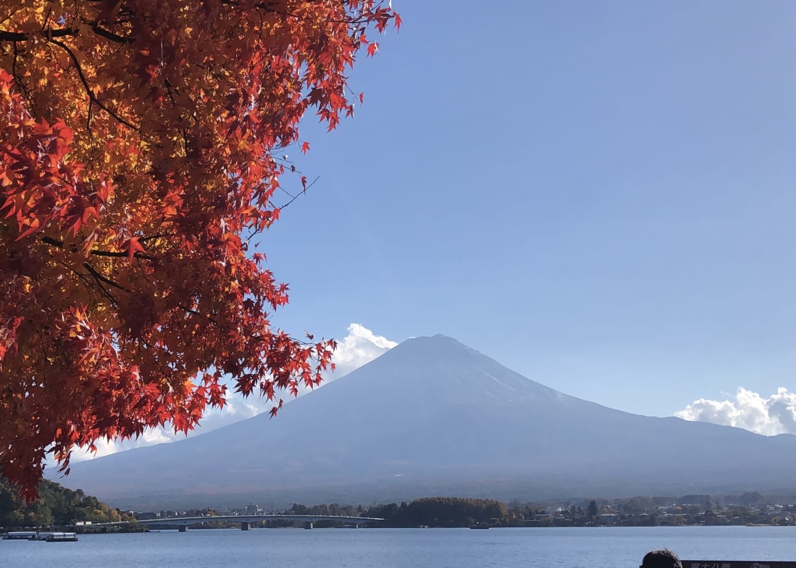 Stunning autumn foliage at the foot of Mount Fuji: