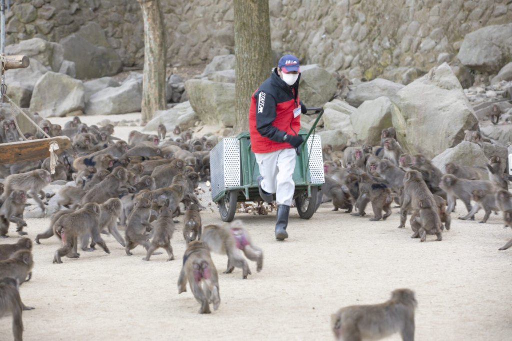 A city rich in nature, culture and gastronomy