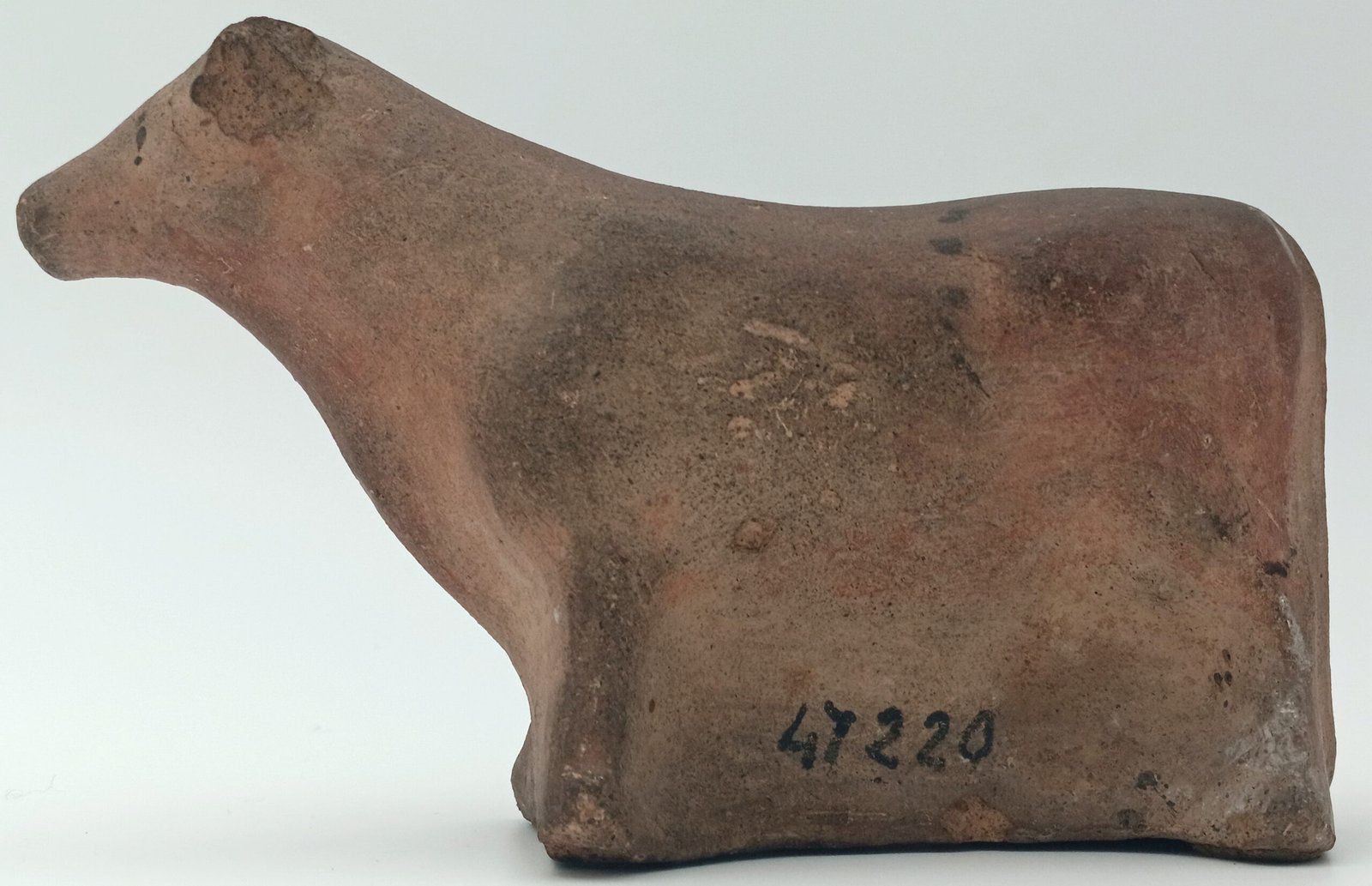 Etruscan wishing bull returns to museum after missing