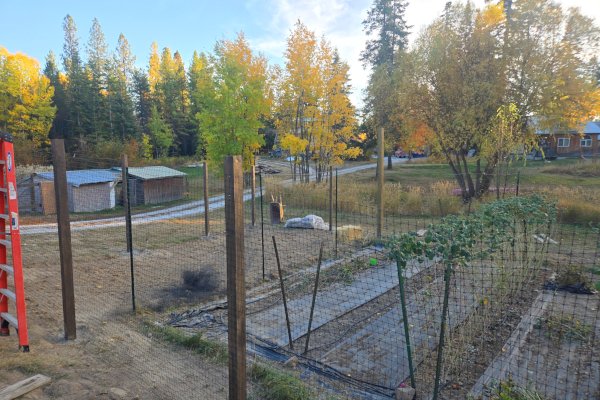 The Art of Transformation: When Marriage Needs Flexibility