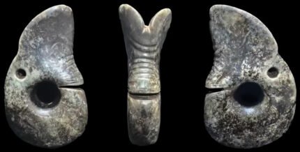 The largest Hongshan Jade Dragon found in a Neolithic tomb——