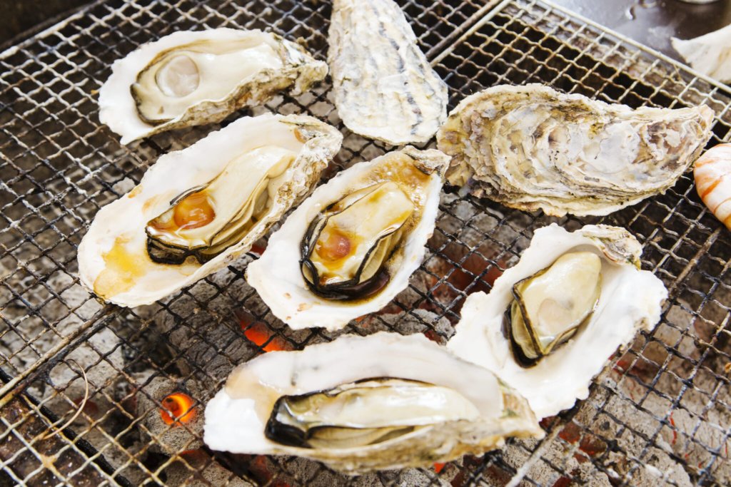 Fukuoka winter activities