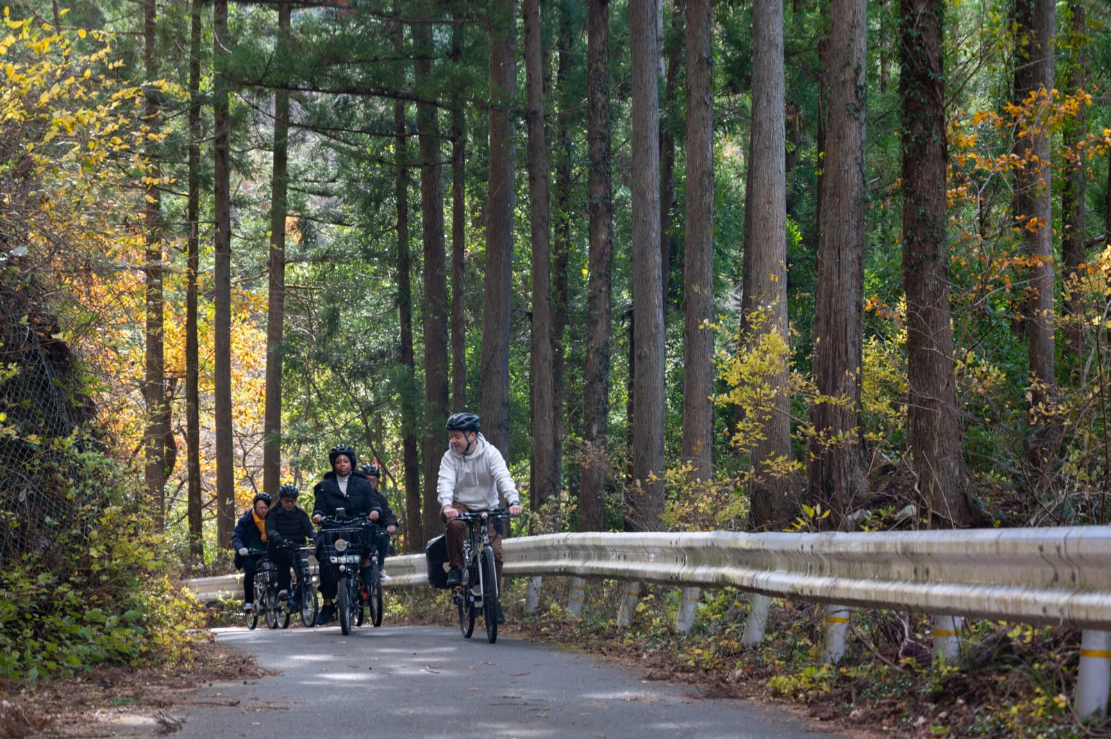 Tokyo’s Beautiful Natural Spots: Explore Okutama and Surroundings