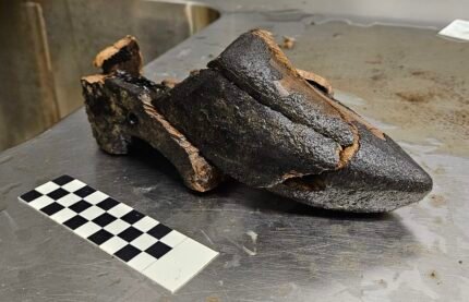 Unique 500-year-old wooden shoes found in Dutch cesspool