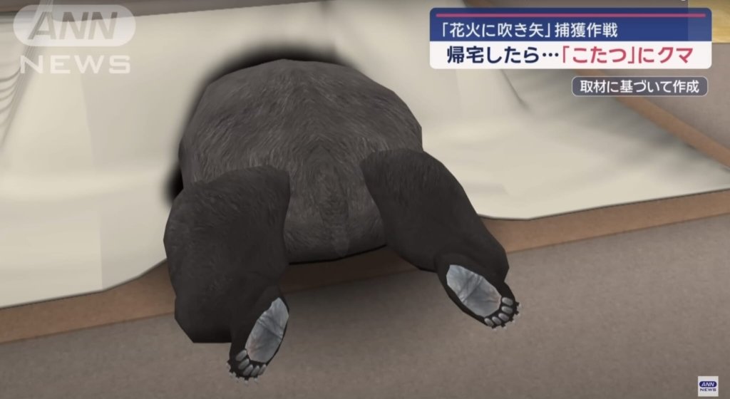 Japanese kotatsu bear