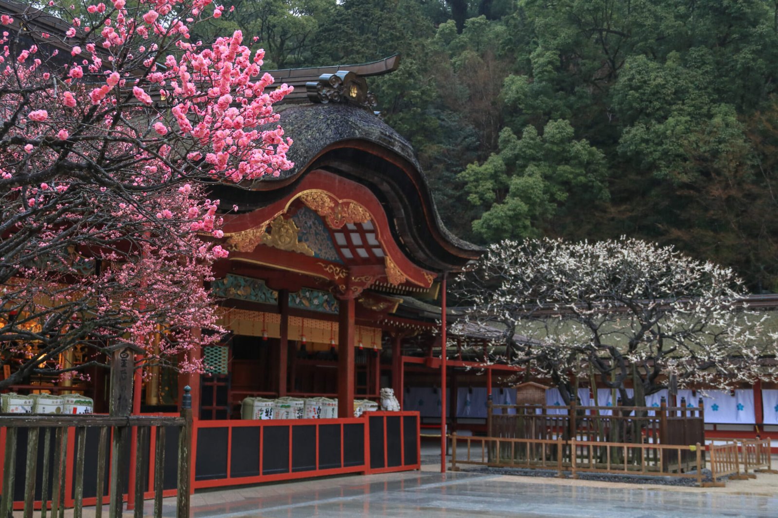 Dazaifu Tenmangu's famous Tanka poem