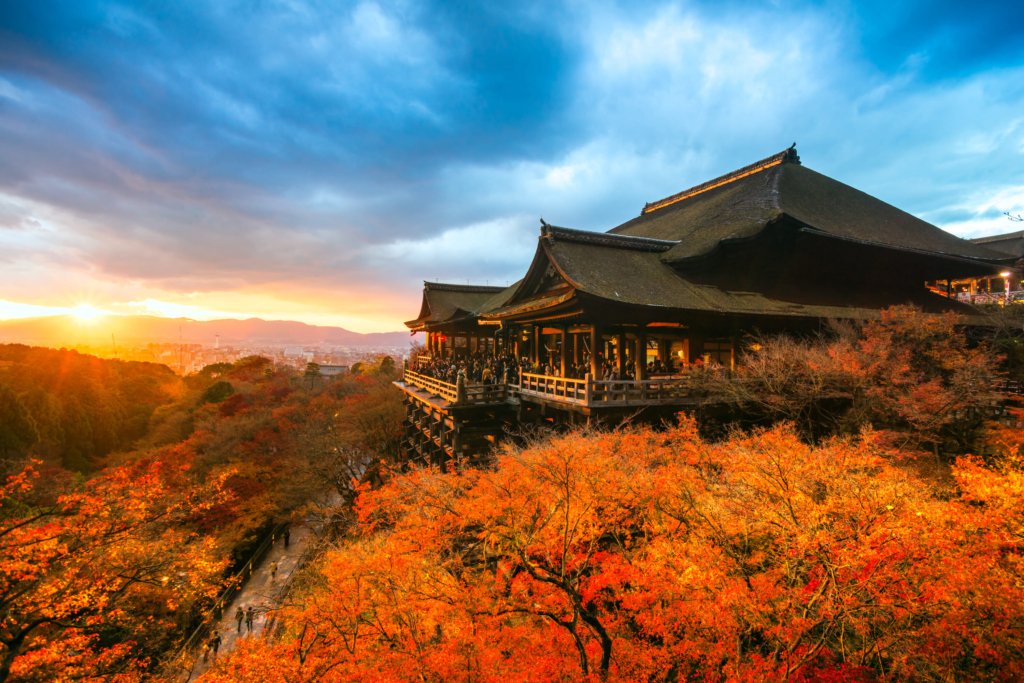 Top things to do in Japan in November