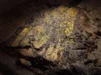 Fourth c. Gold and Purple Shrouds to be on display - History