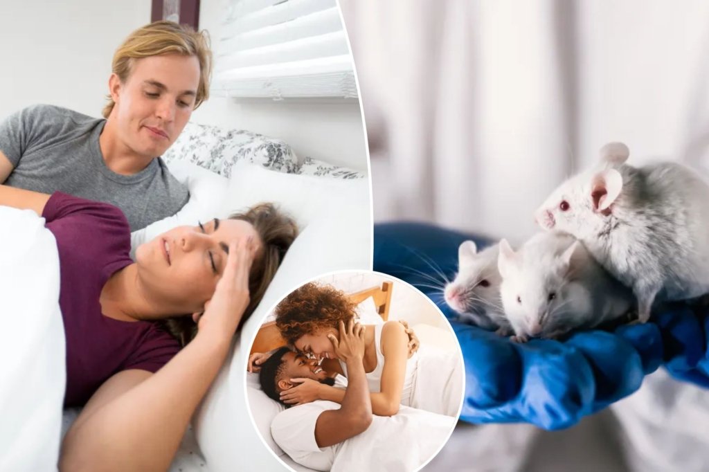 Low sexual desire? This diet enhances the sexual desire of mice