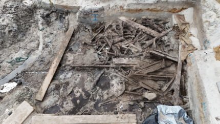 Marine Canoe Discovered in Chatham Islands - History