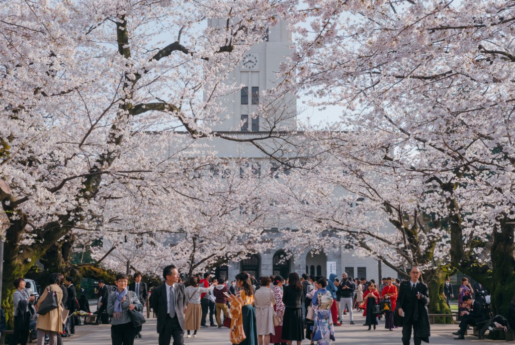 The best thing to do in Japan in March