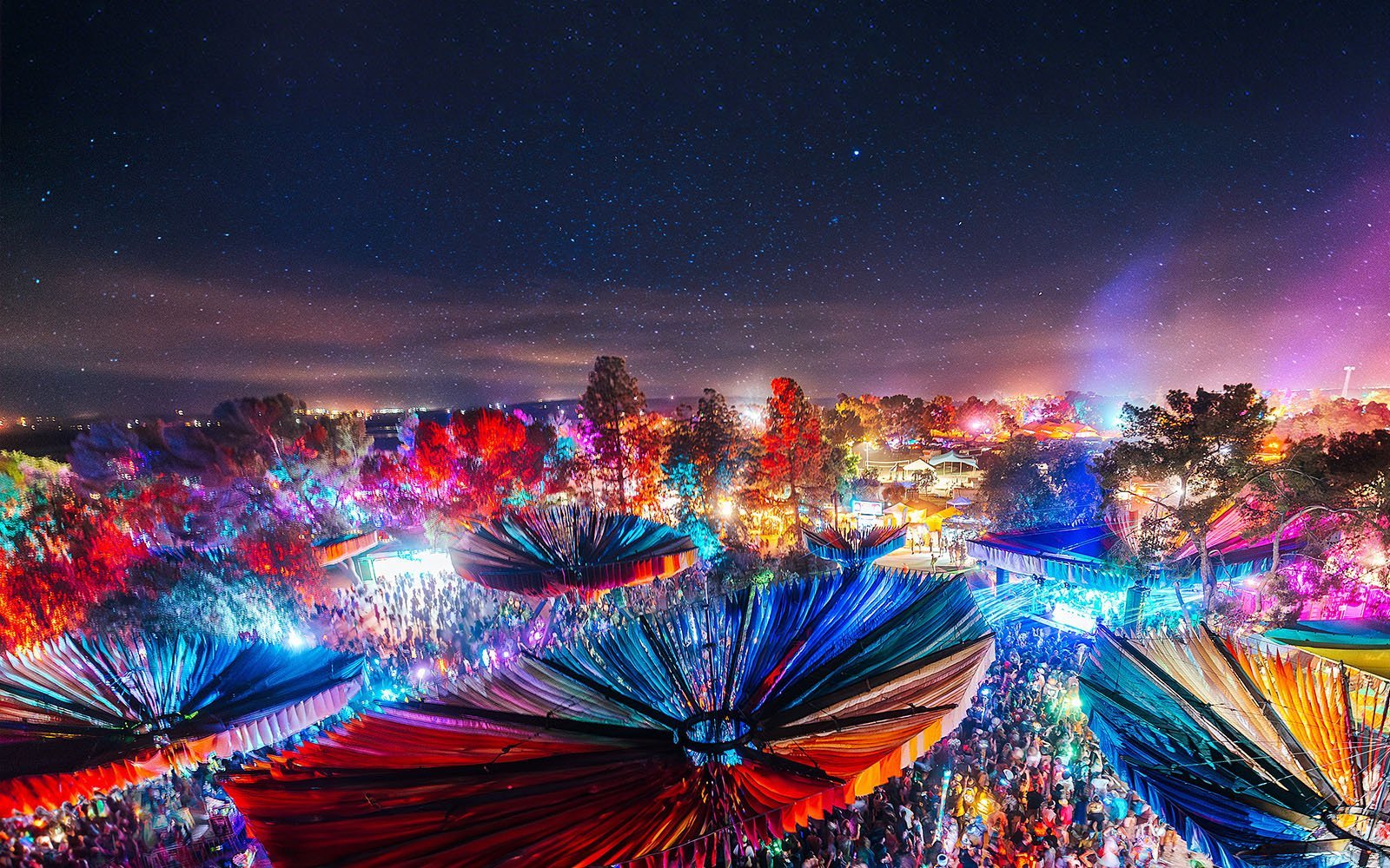 Lightning in the Bottle 2025: A Festival Beyond Music