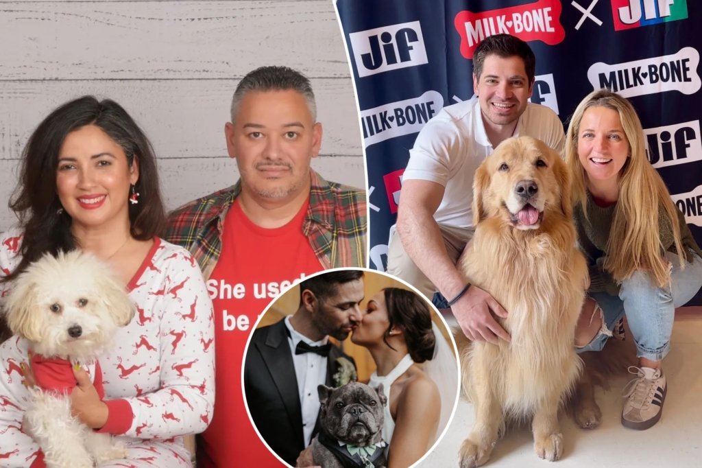 Married New York pet owners prefer puppies more than companions