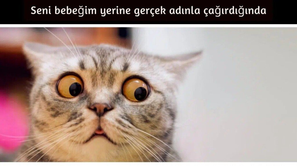 A cute name for your girlfriend