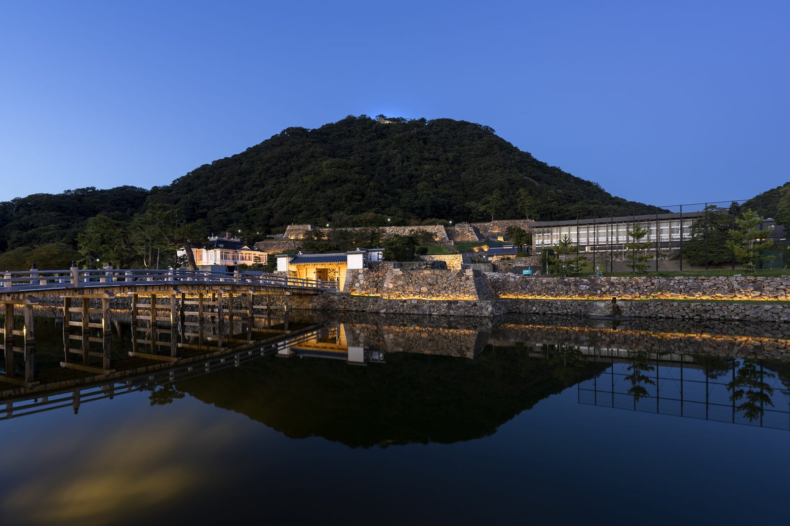 An ancient dream in the Sea of ​​Japan