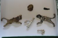 Roman tombs and ceramic glasses found in Montenegro