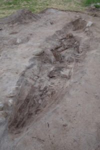 Viking ship burying woman with dog found under her feet