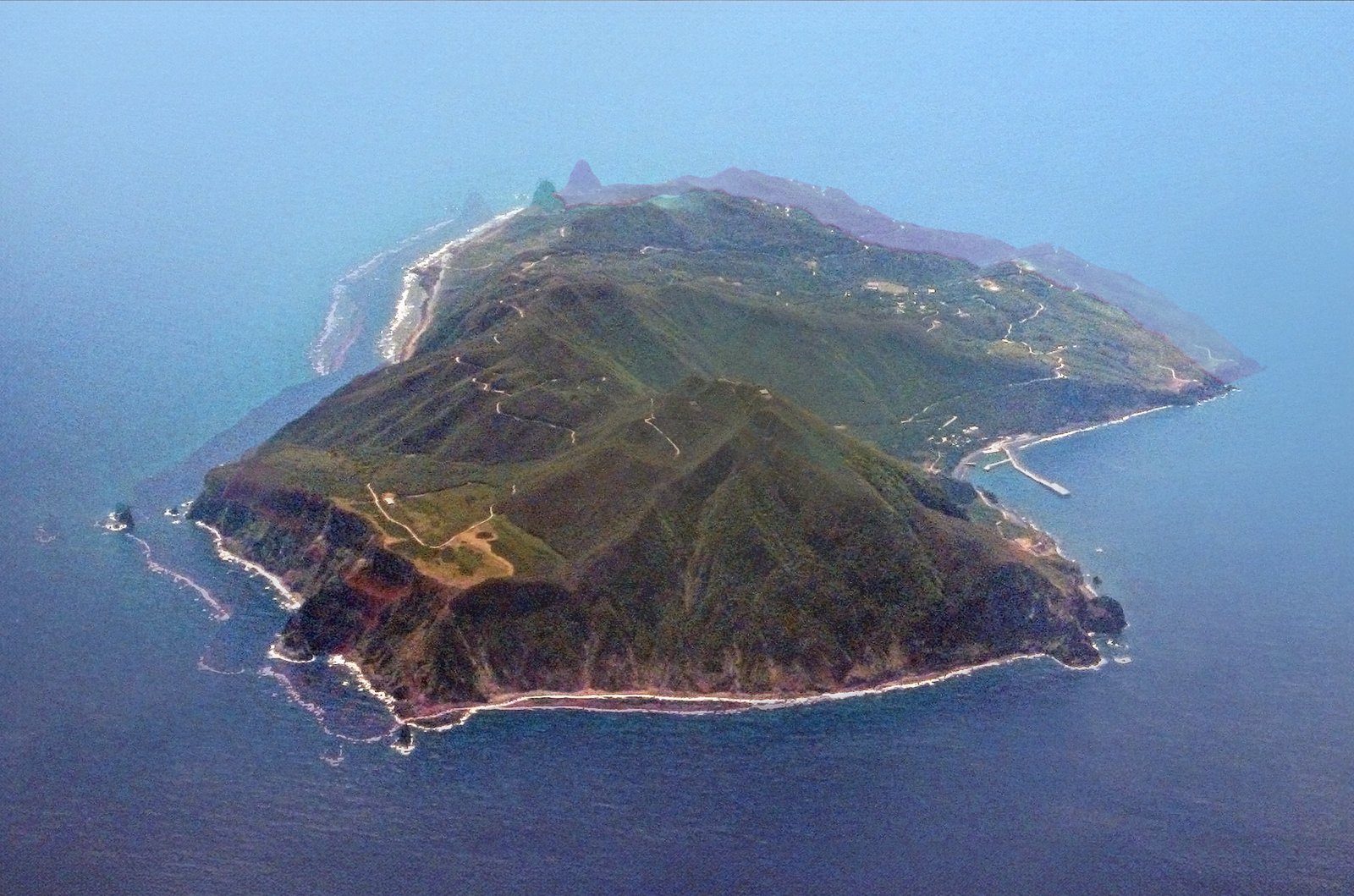 The Subspecies Square of Japanese Science