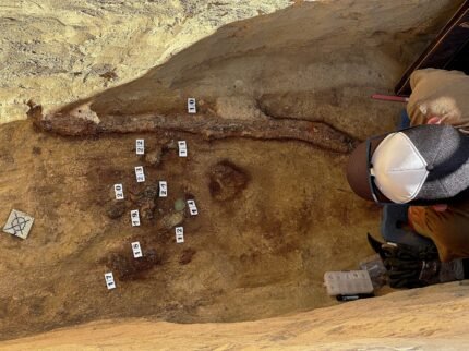 In Hungary - Rare Aval Sabre found in History Blog