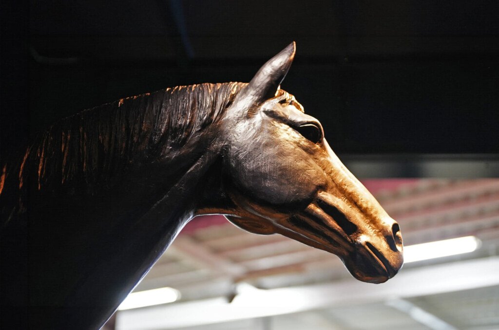 The thoroughbred horse that changed Japanese horse racing forever